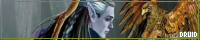 Druid
