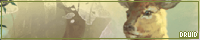 Druid
