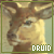Druid