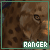 Ranger