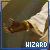 Wizard