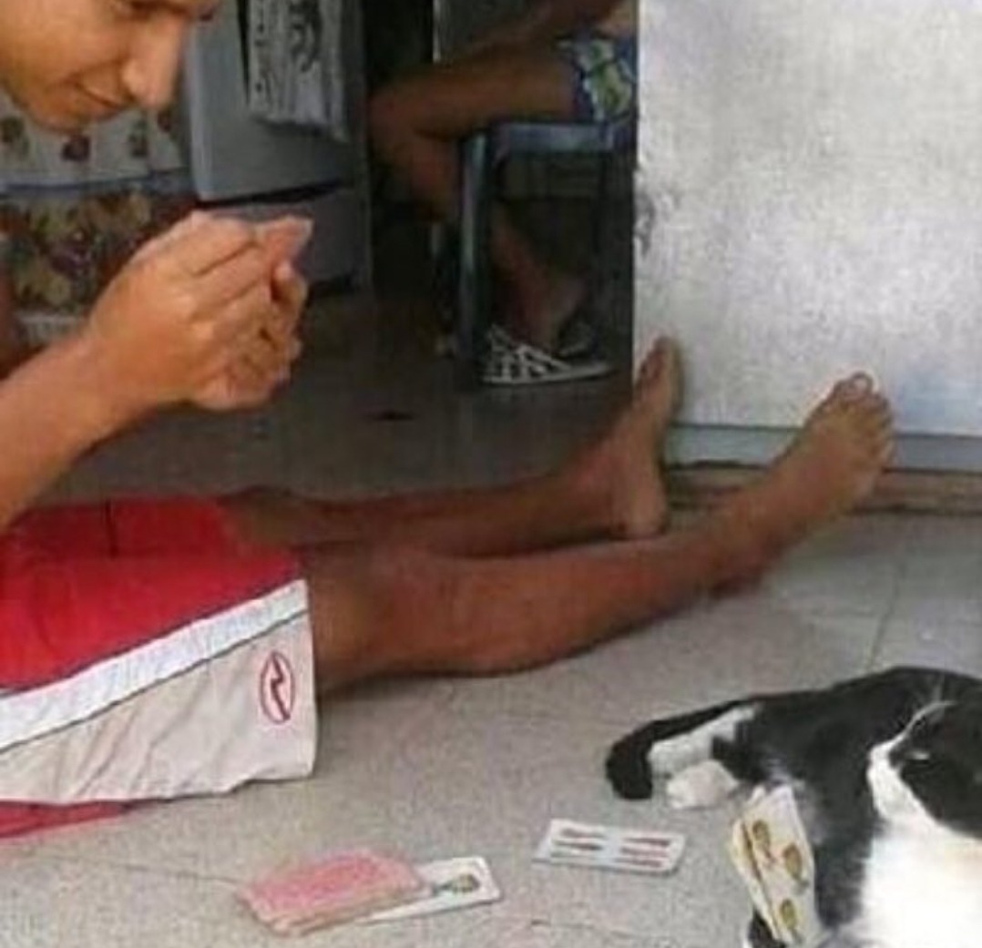 An image of a man and a cat playing cards.